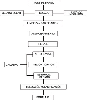 procesado de la nuez de Brasil